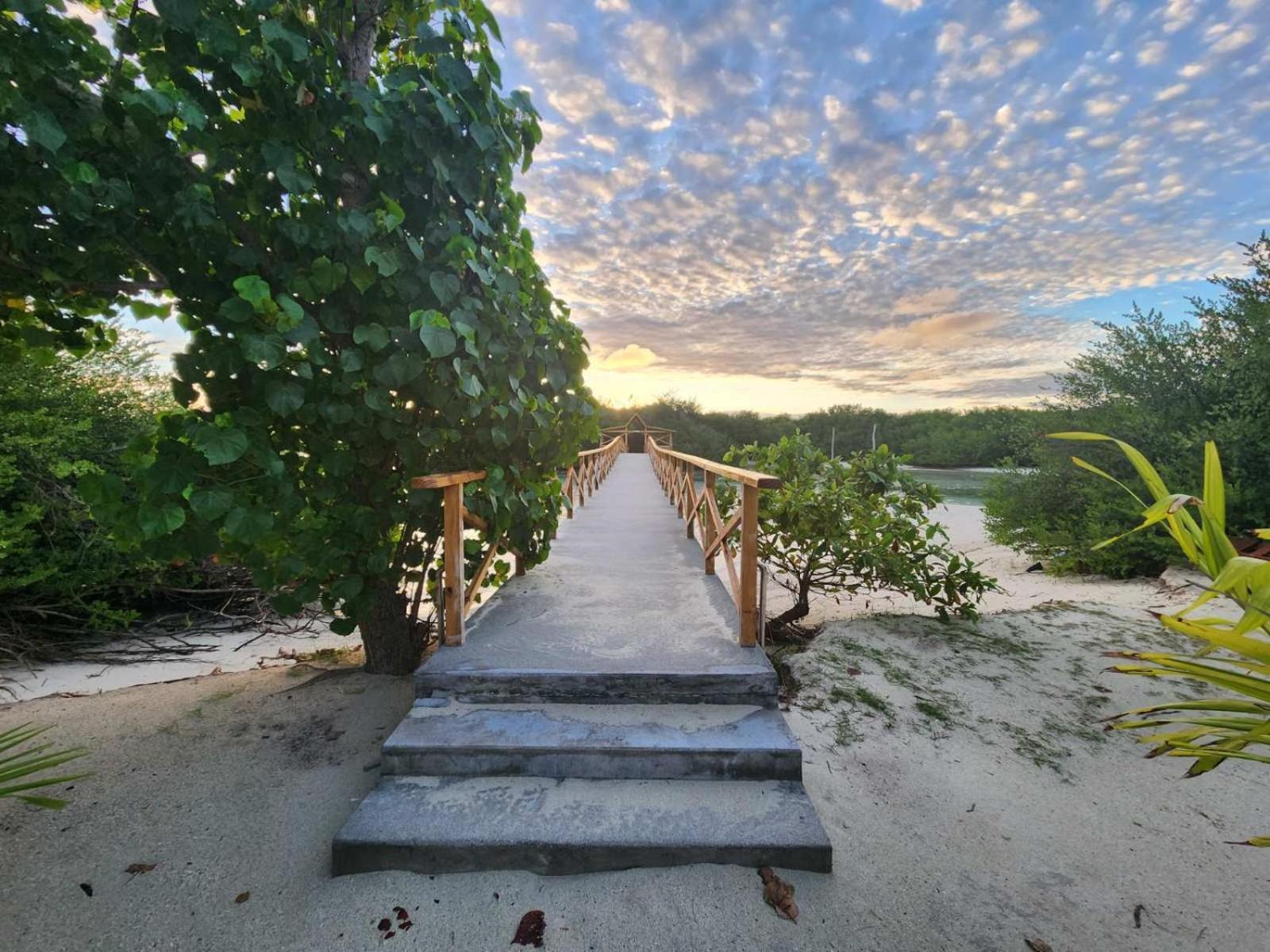 Hotel Surf Deck Thulusdhoo Exterior foto